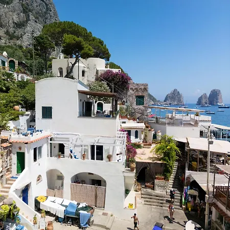 Marea By My Collection