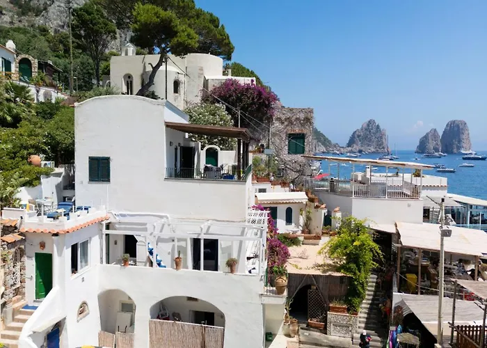 Marea By My Collection